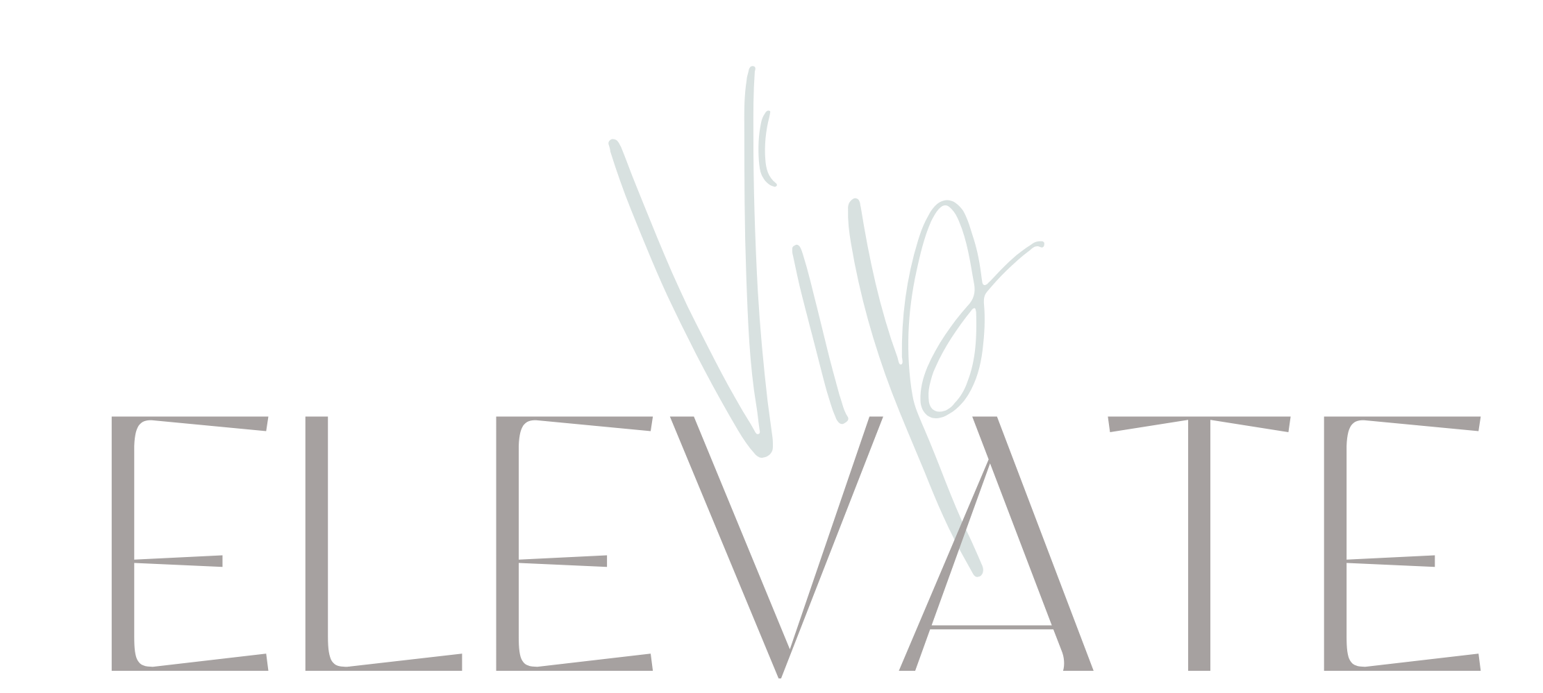 ELEVATE_VIP
